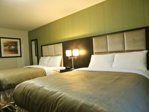 Western Star Inn & Suites Stoughton ห้อง รูปภาพ